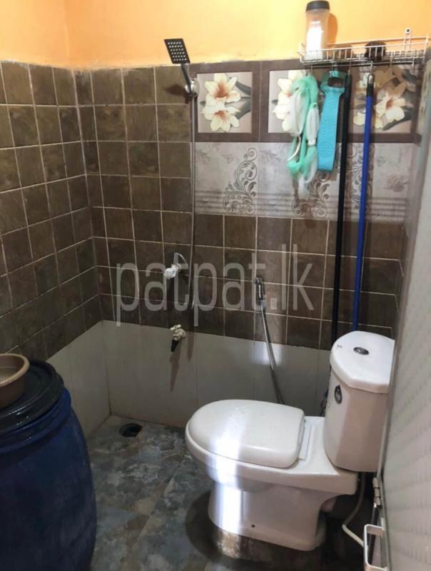 Semi Luxury Apartment for Rent in Wellawatta (Colombo 06)
