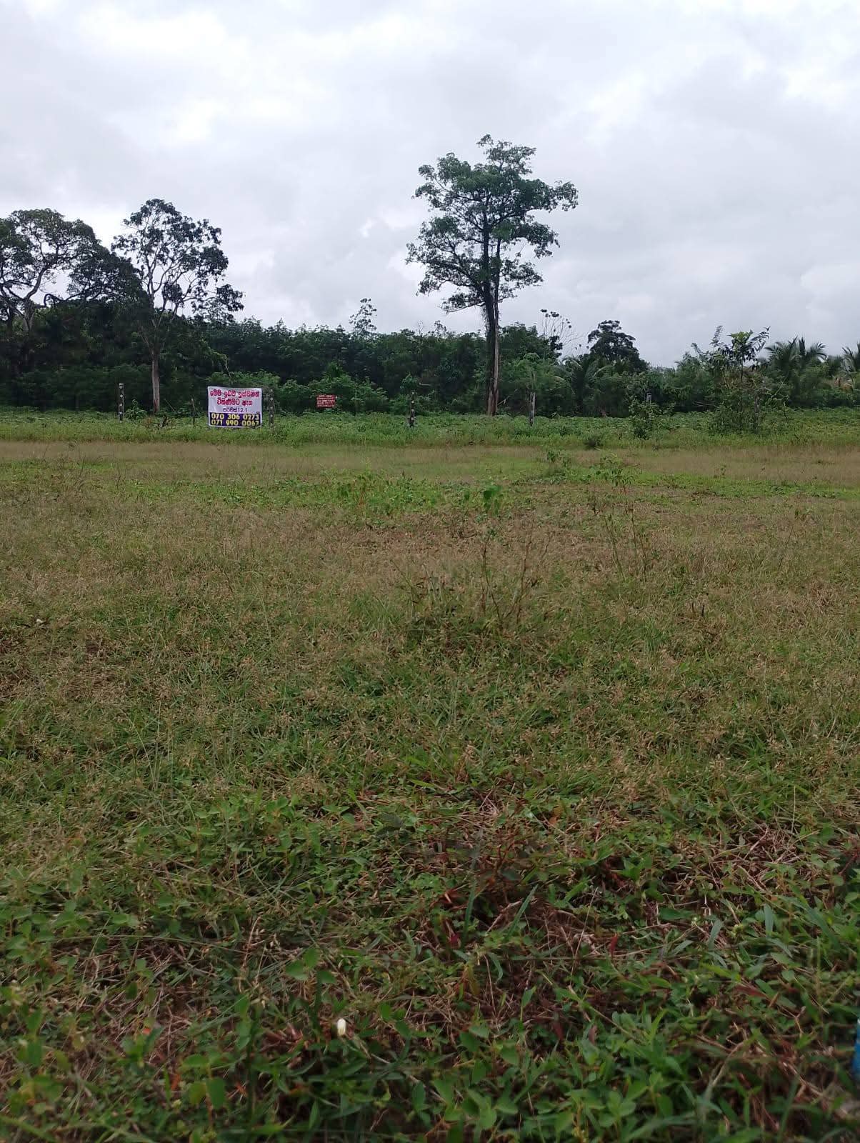 Residential Land for Sale in Horana