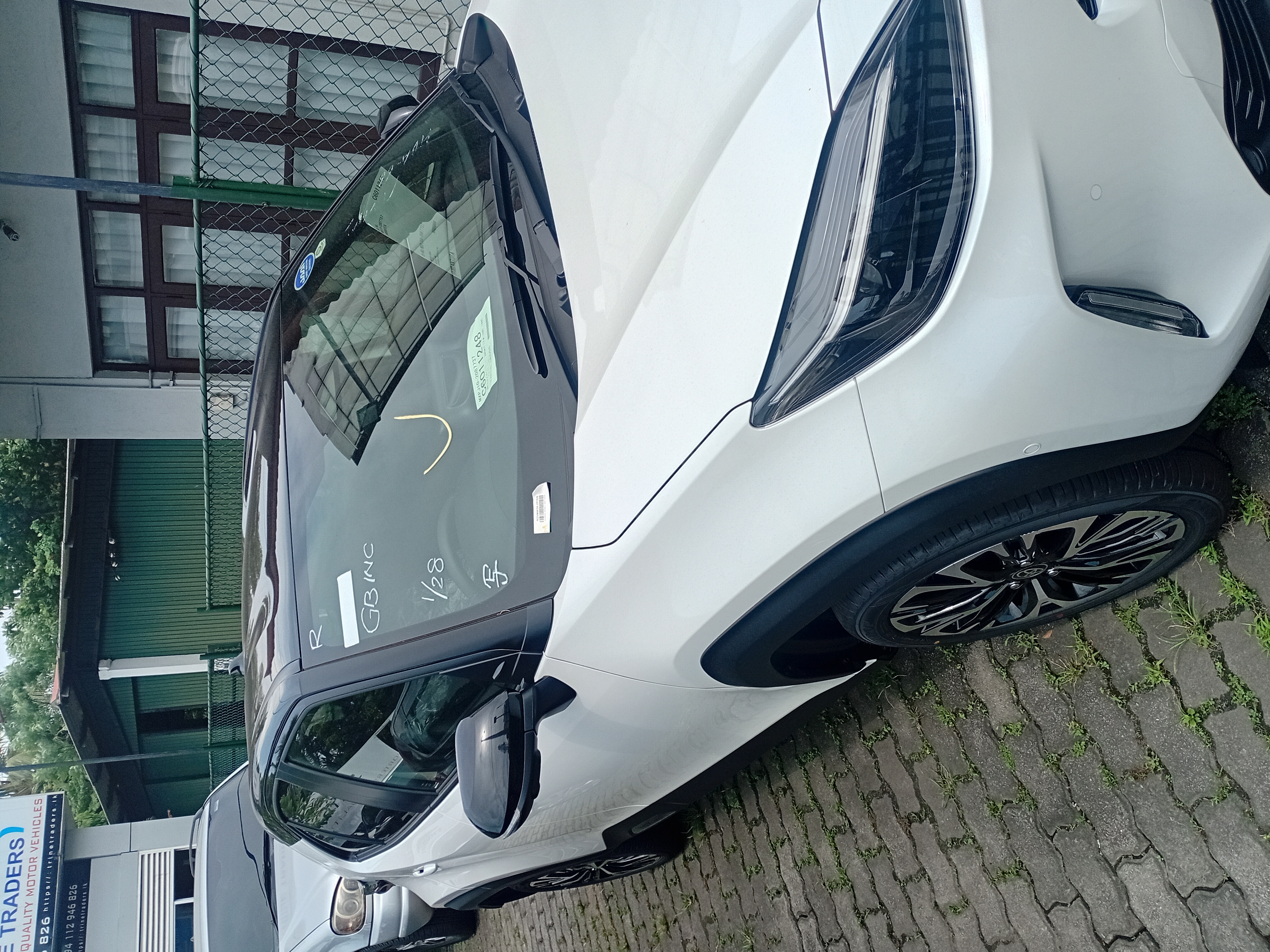 Advertisement image 2