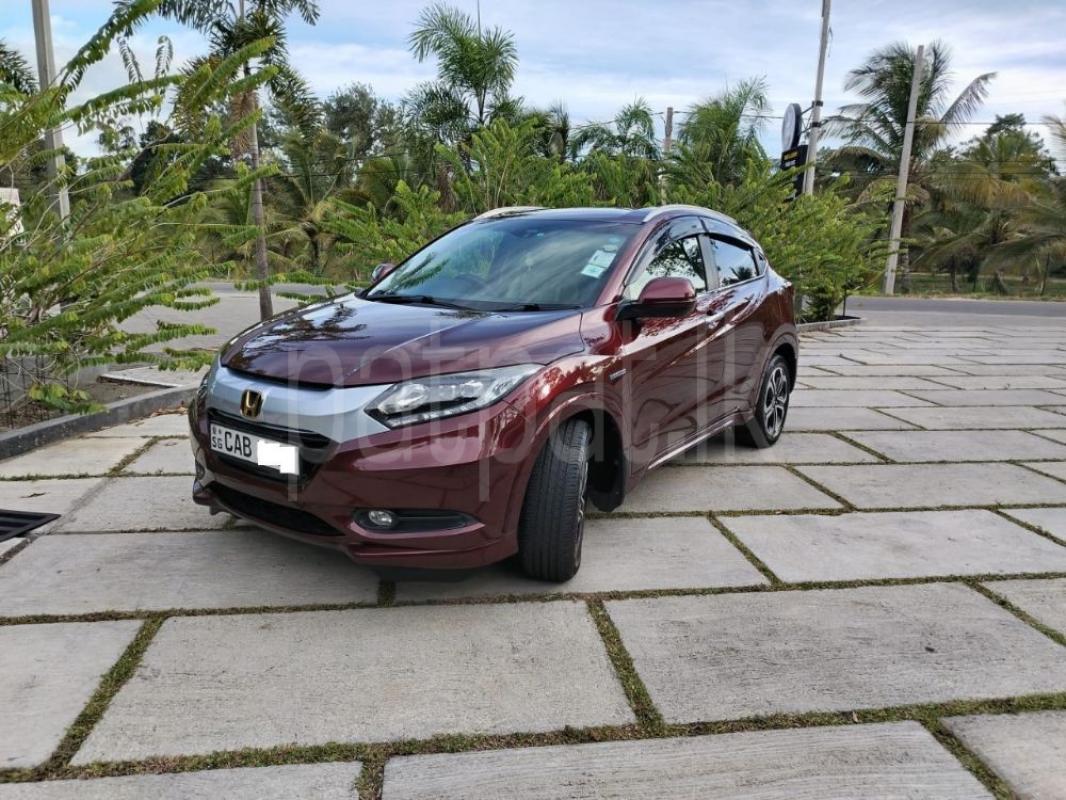 Advertisement image 2