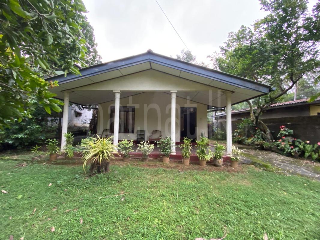 House for Sale in Ragama ads-image-1