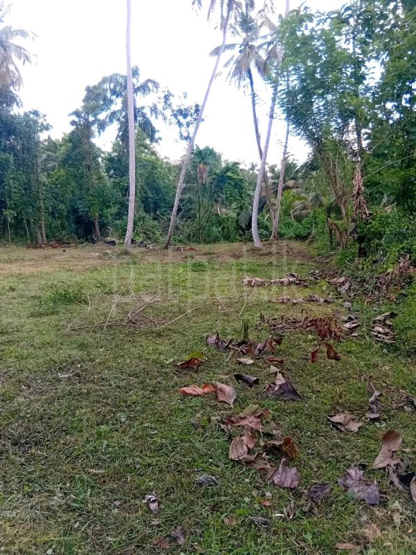 Agricultural Land for Sale in Maho