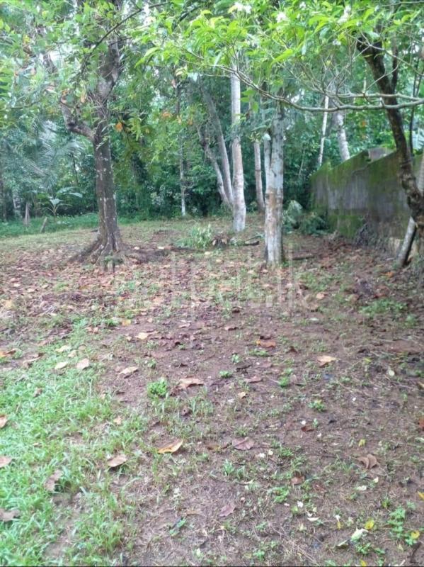 premium-listing-image