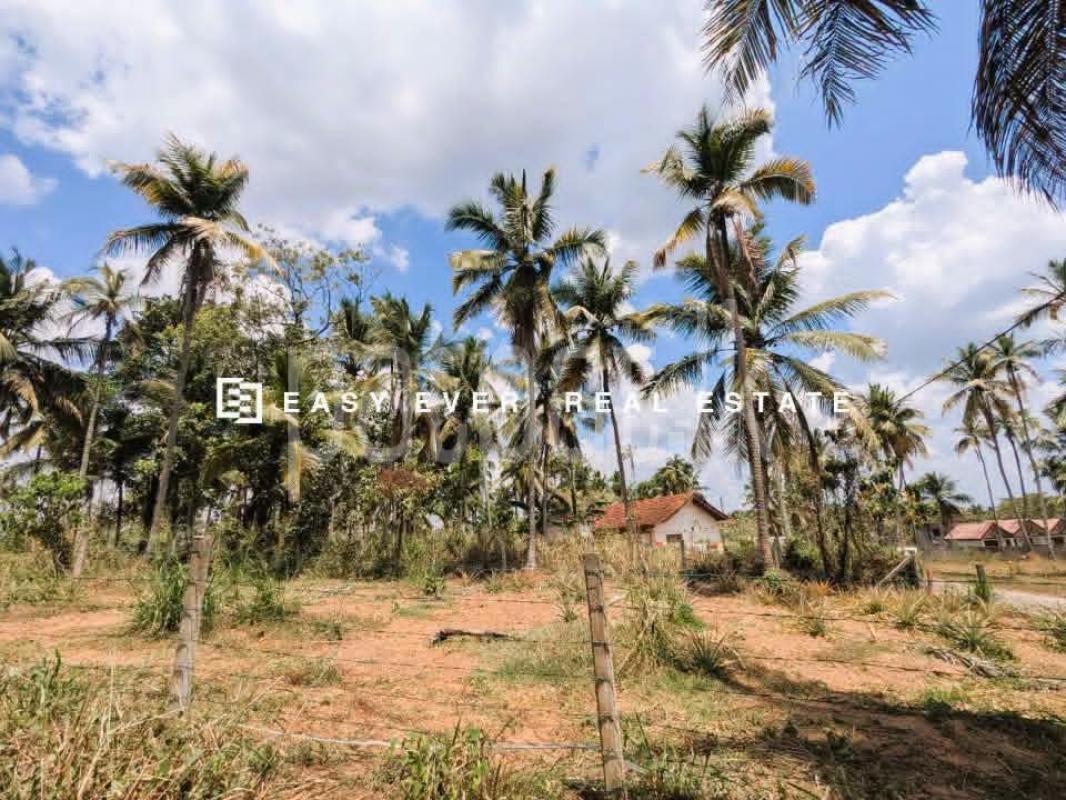 Residential Land for Sale in Mirigama