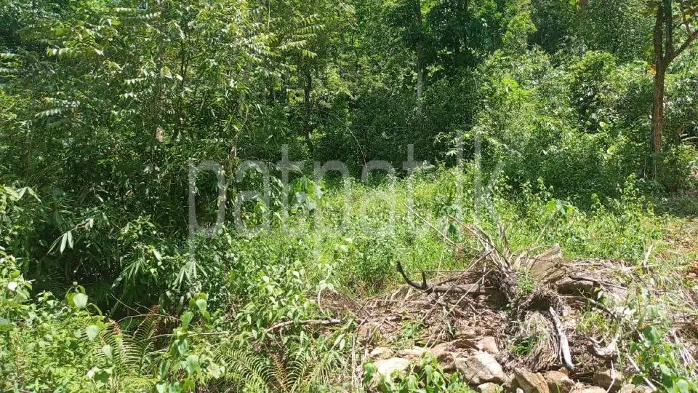 Agricultural Land for Sale in Mirigama