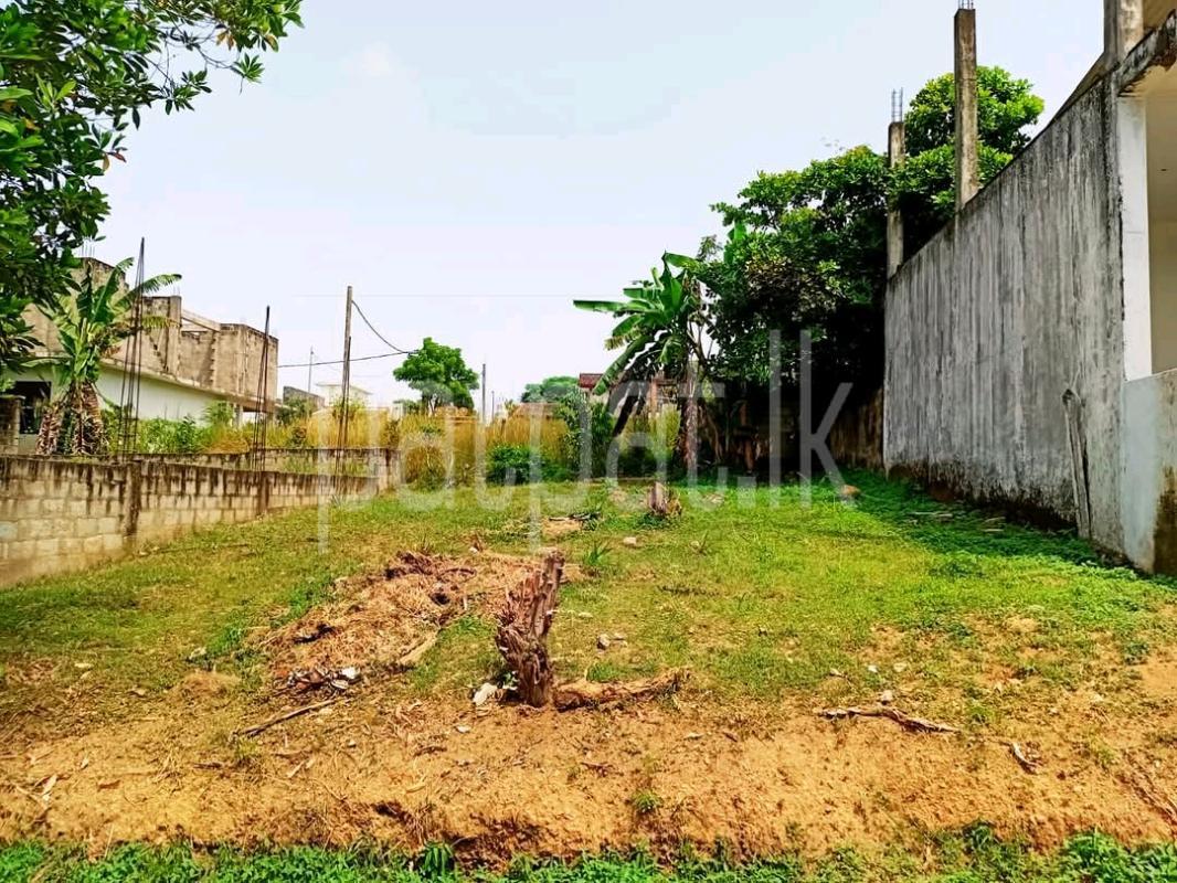 Residential Land for Sale in Padukka ads-image-1