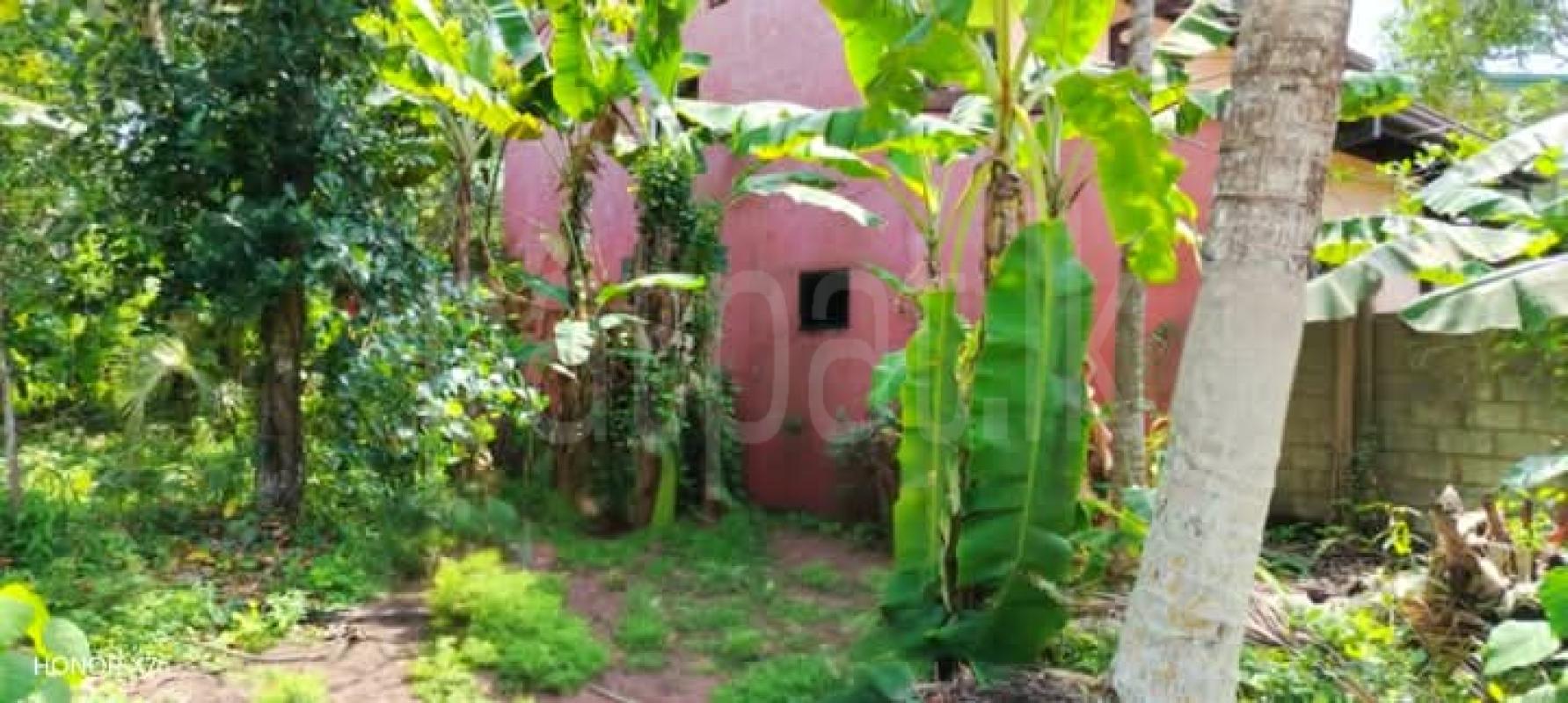 Agricultural Land for Sale in Panadura