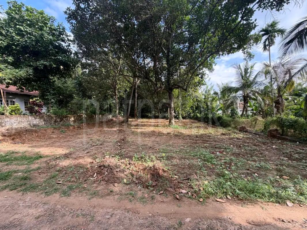 Commercial Land for Sale in Ja-Ela