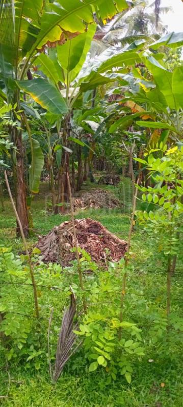 Agricultural Land for Sale in Kurunegala