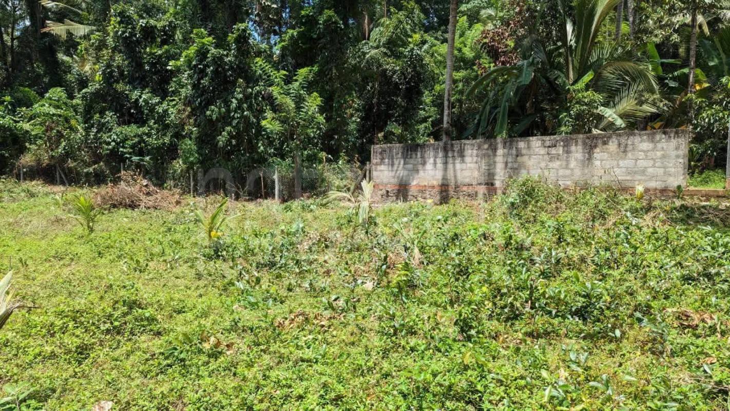 Commercial Land for Sale in Kesbewa ads-image-1
