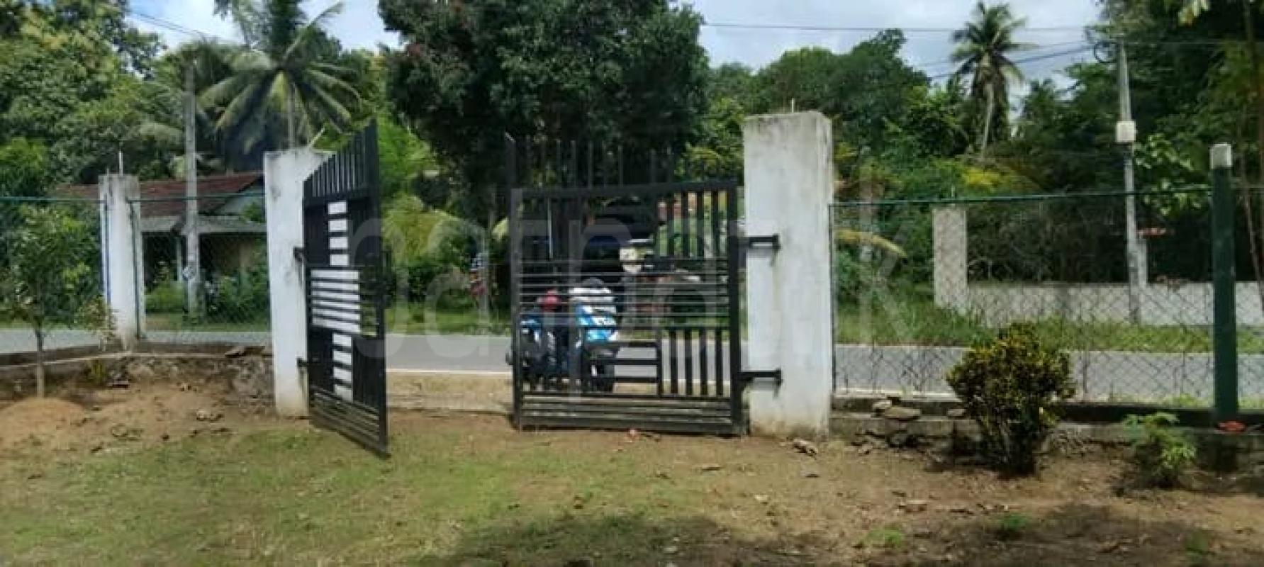 Advertisement image 1