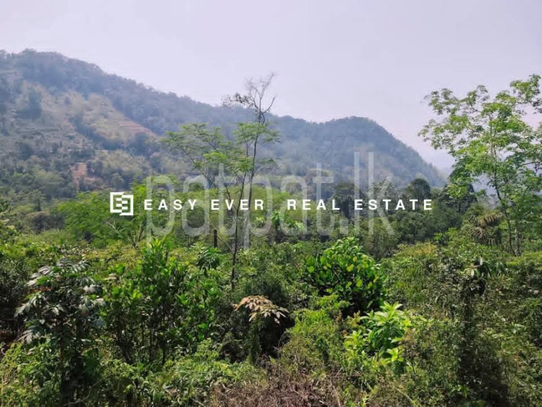Residential Land for Sale in Ratnapura