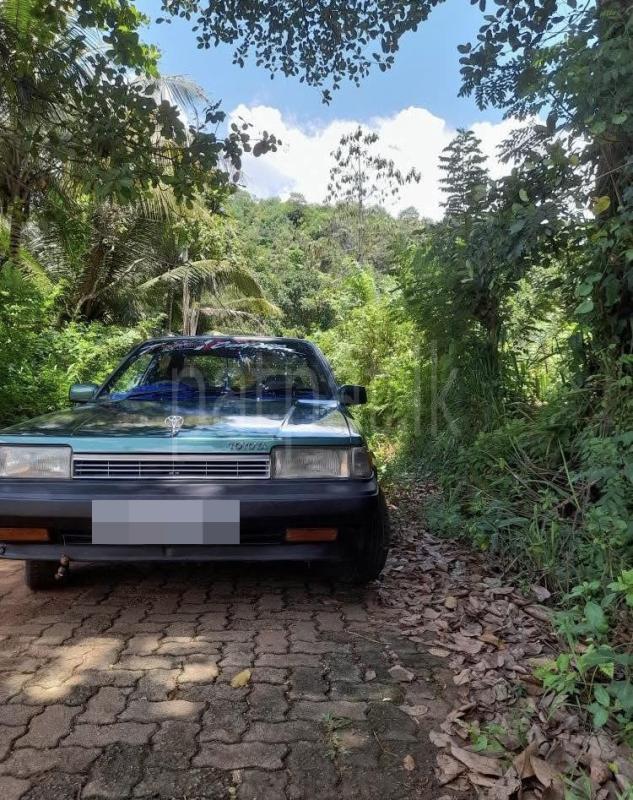 Toyota Carina 1985 - Used Car sale in Sri Lanka - patpat.lk