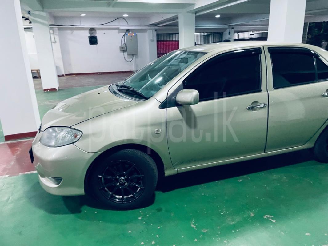 Advertisement image 5