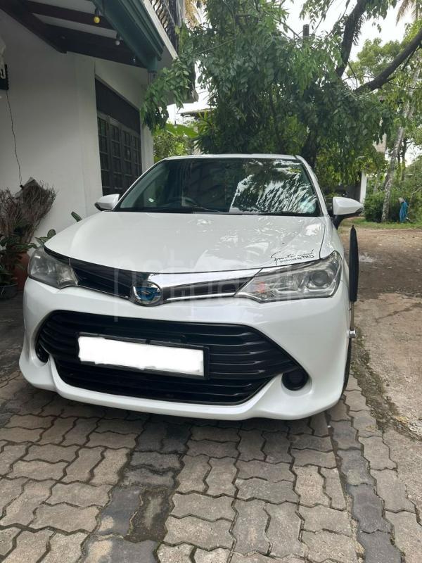 Advertisement image 1