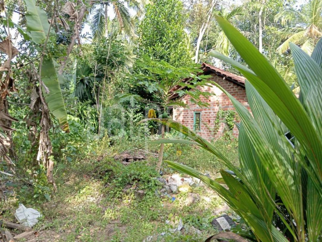 Advertisement image 1