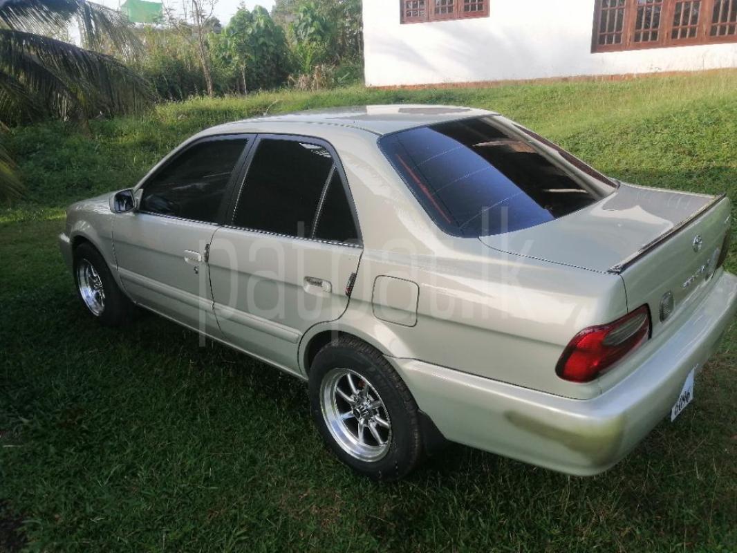 Advertisement image 3