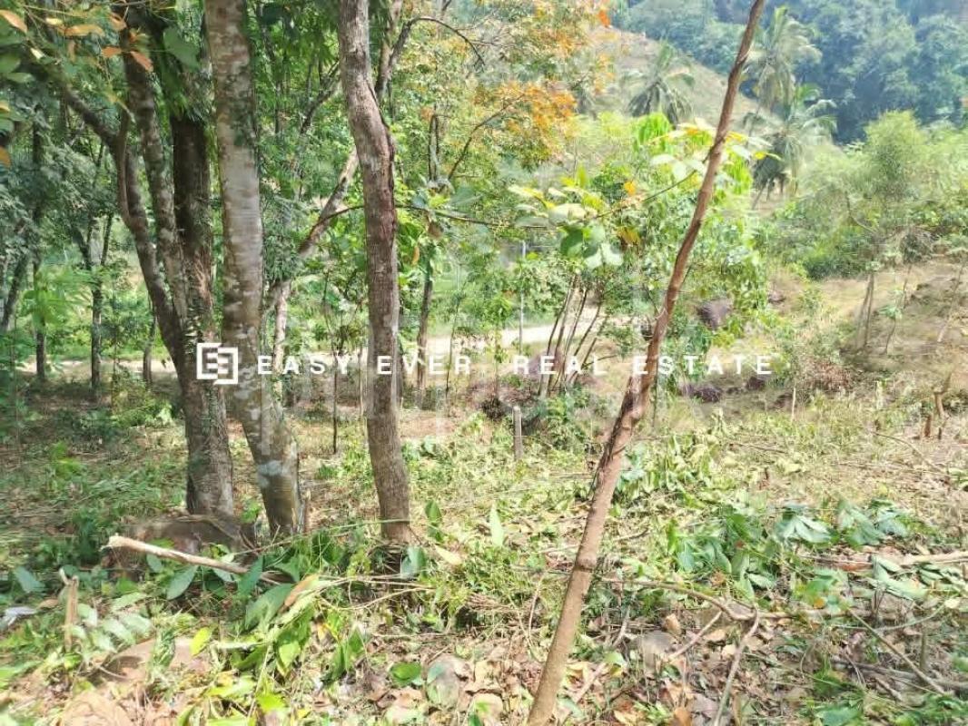 Residential Land for Sale in Kaleliya