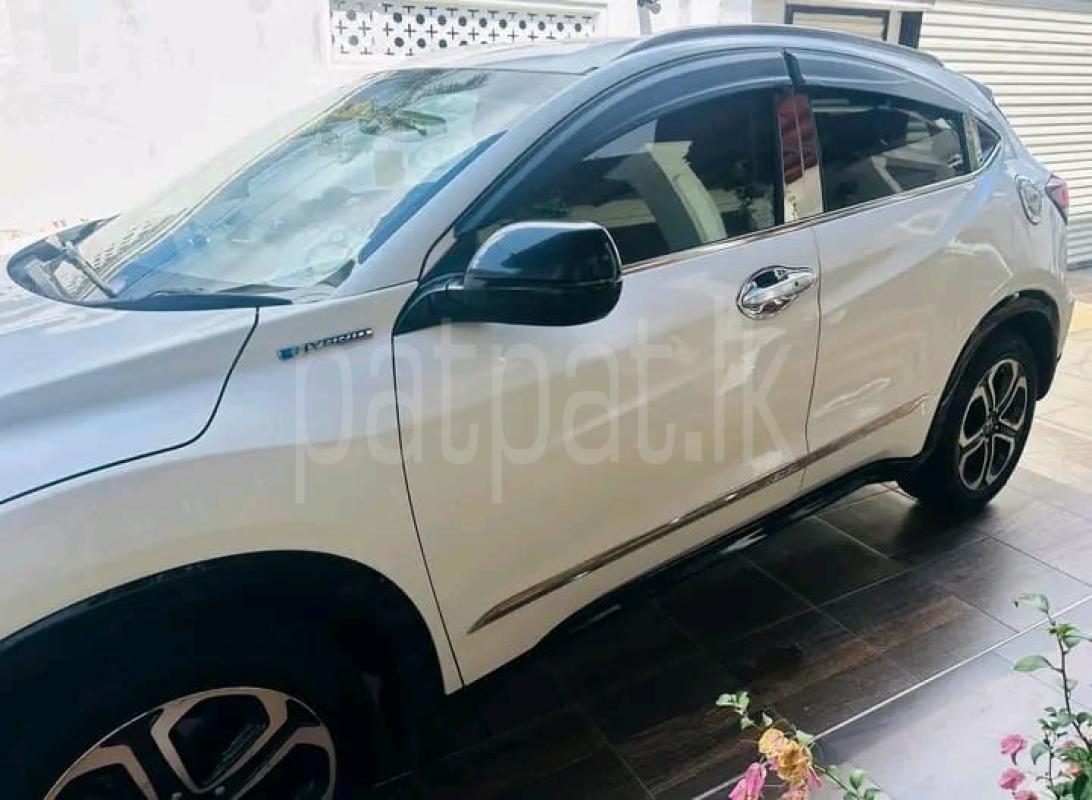 Advertisement image 1