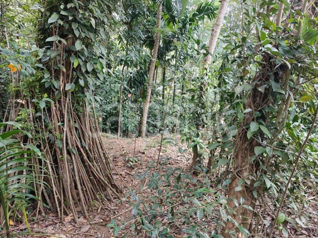Residential Land for Sale in Gelioya