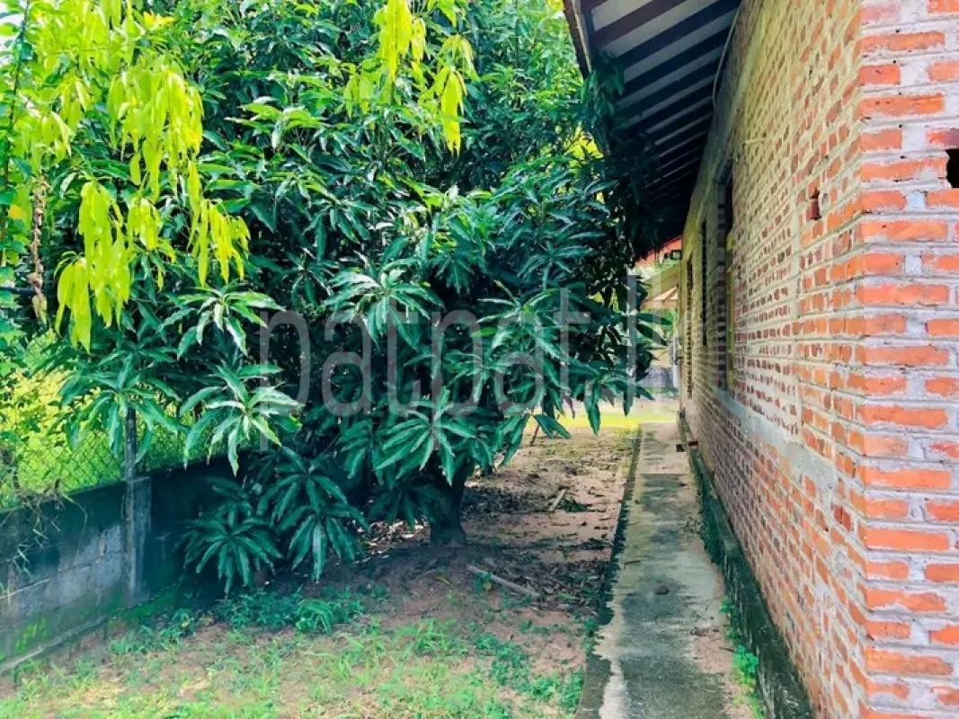House for Sale in Lunuwila