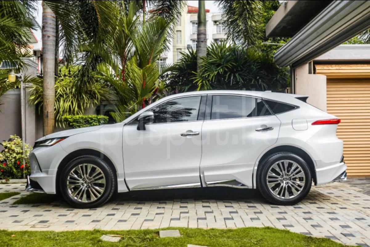 Advertisement image 4