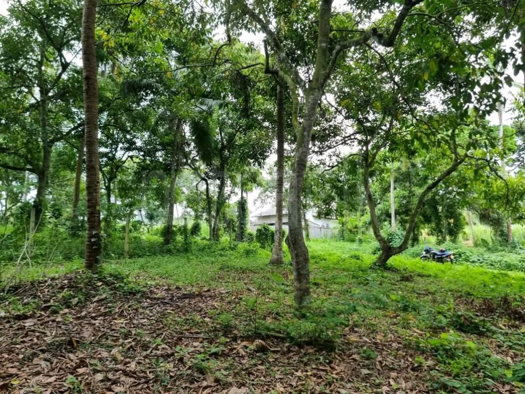 Residential Land for Sale in Akuregoda