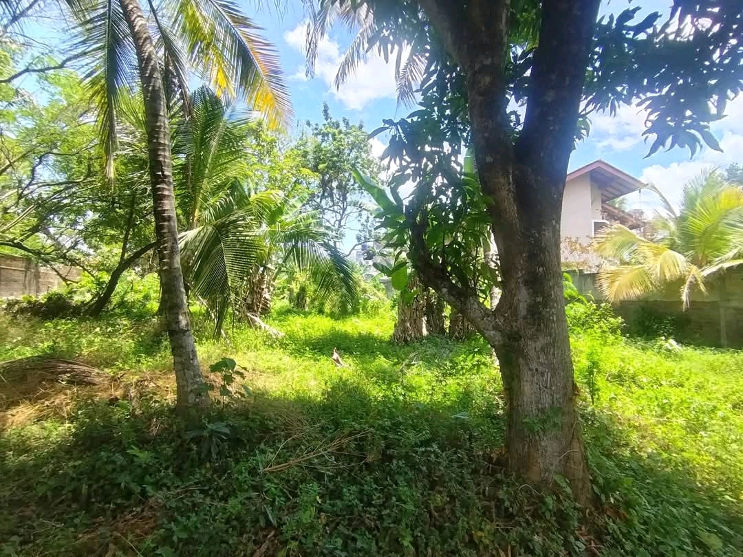 Commercial Land for Sale in Ja-Ela