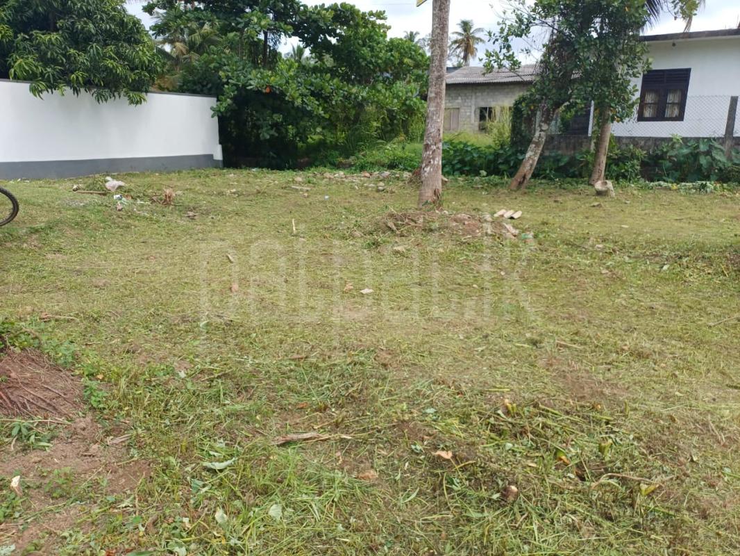 Residential Land for Sale in Ja-Ela ads-image-1