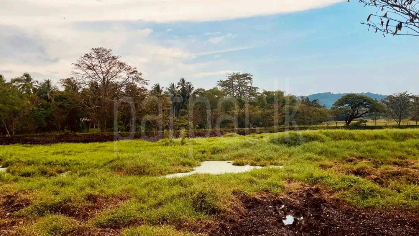 Agricultural Land for Sale in Matale