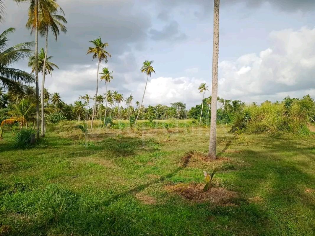 Agricultural Land for Sale in Mawathagama