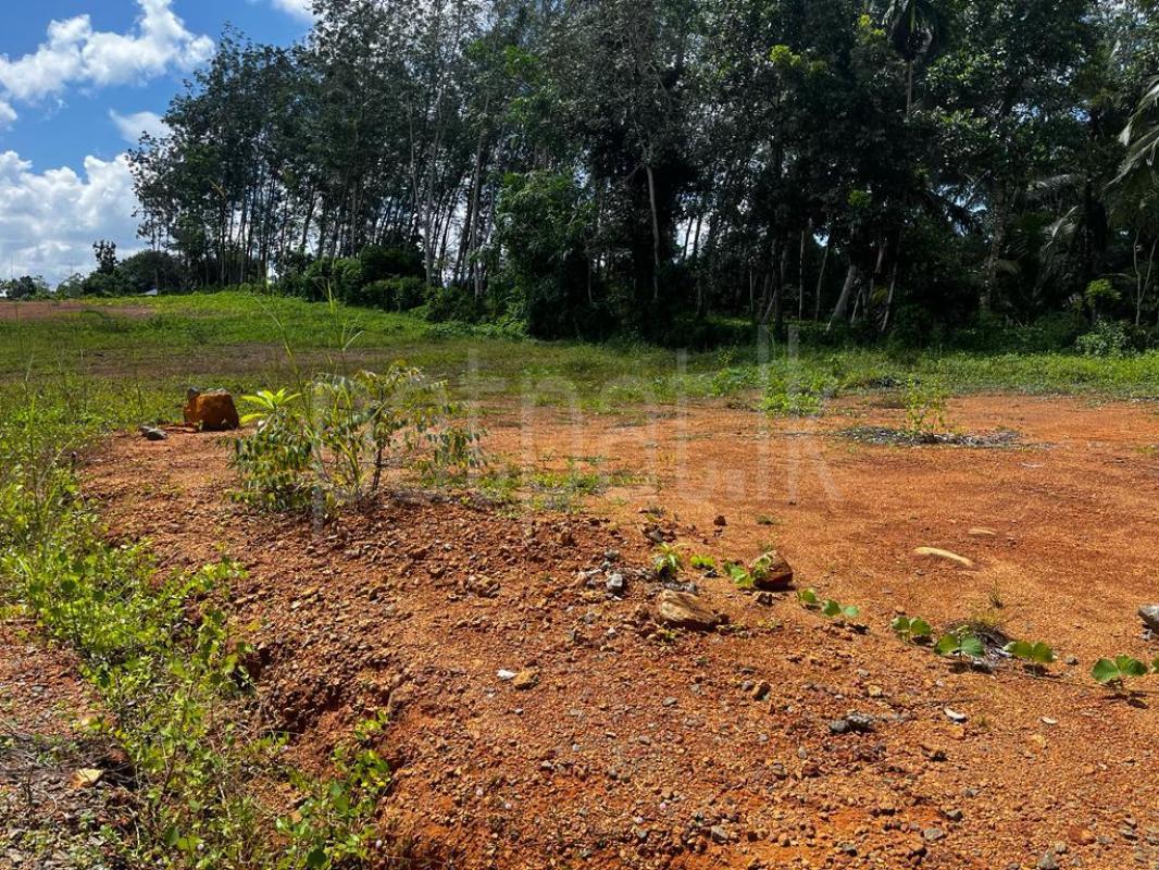 Commercial Land for Sale in Koholana ads-image-1