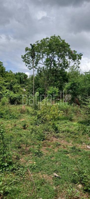 Residential Land for Sale in Kataragama