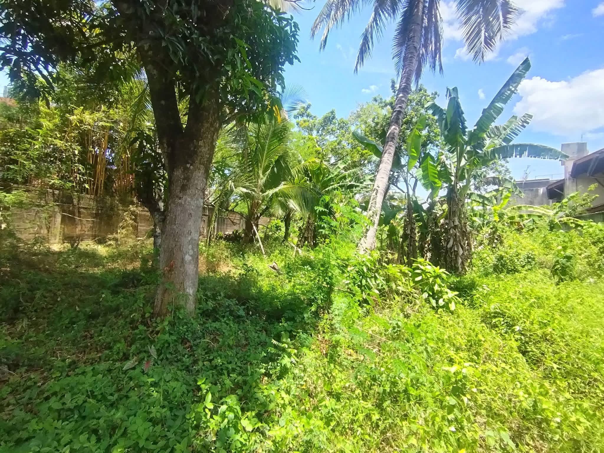 Residential Land for Sale in Pelawatta