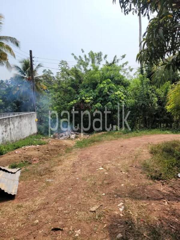 premium-listing-image