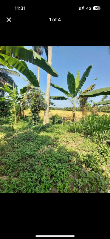 Residential Land for Sale in Weeraketiya ads-image-1