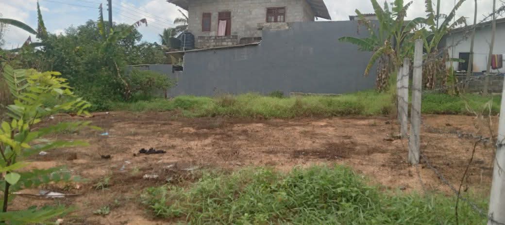 Commercial Land for Sale in Homagama