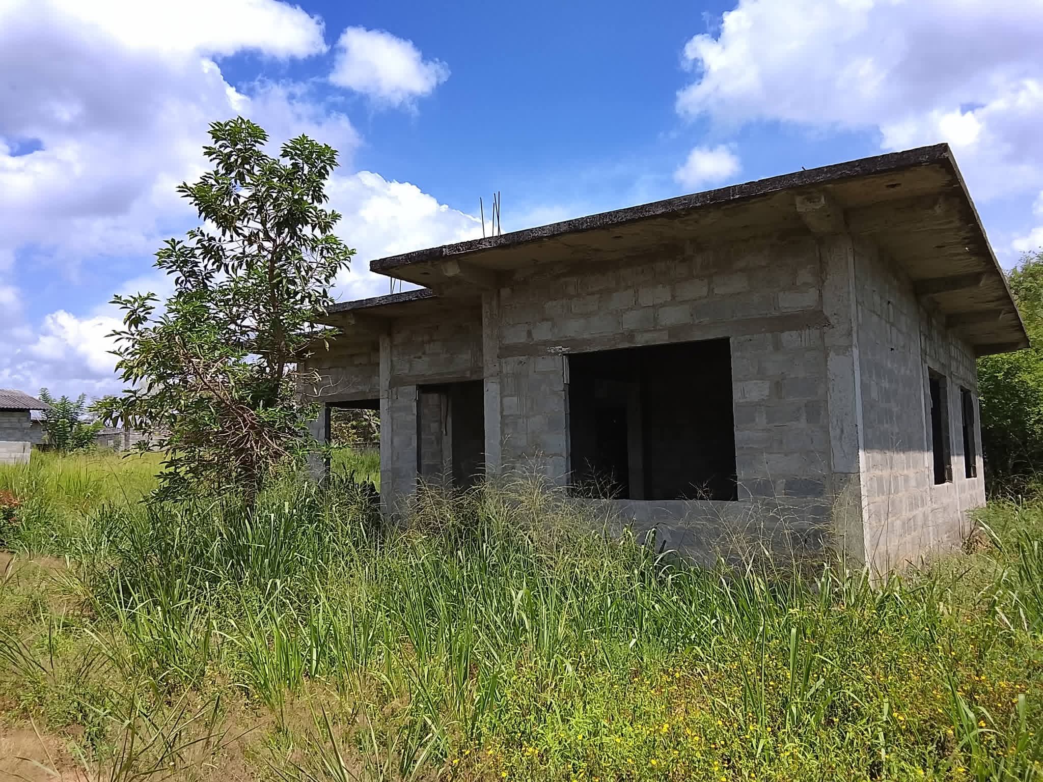 Agricultural Land for Sale in Giritale