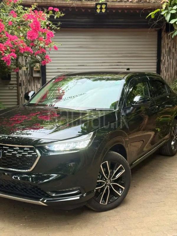 Advertisement image 1