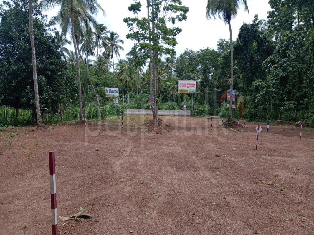 Agricultural Land for Sale in Gampaha
