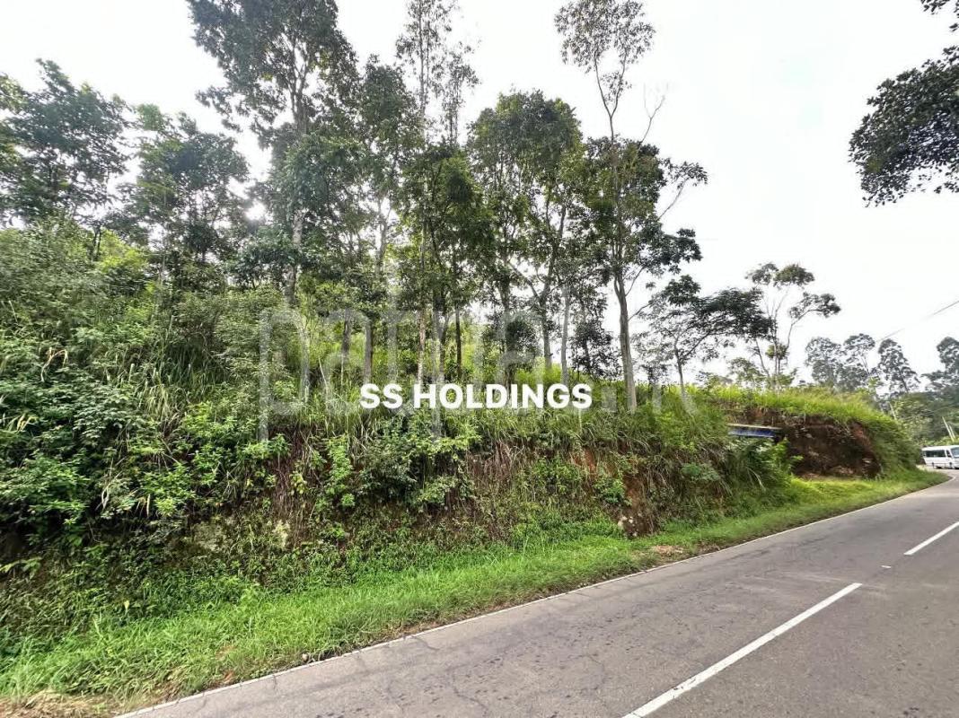 Commercial Land for Sale in Bandarawela
