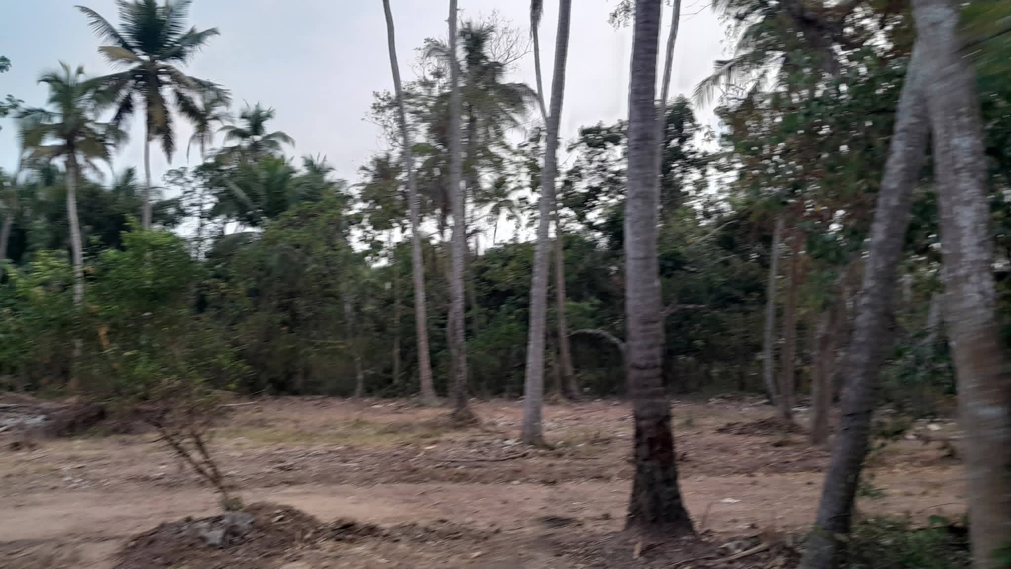 Residential Land for Sale in Tangalla