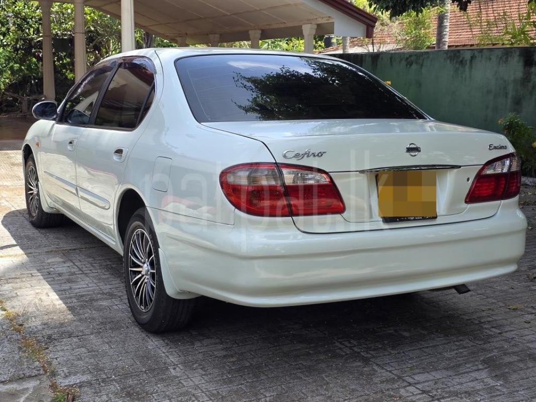 Advertisement image 4