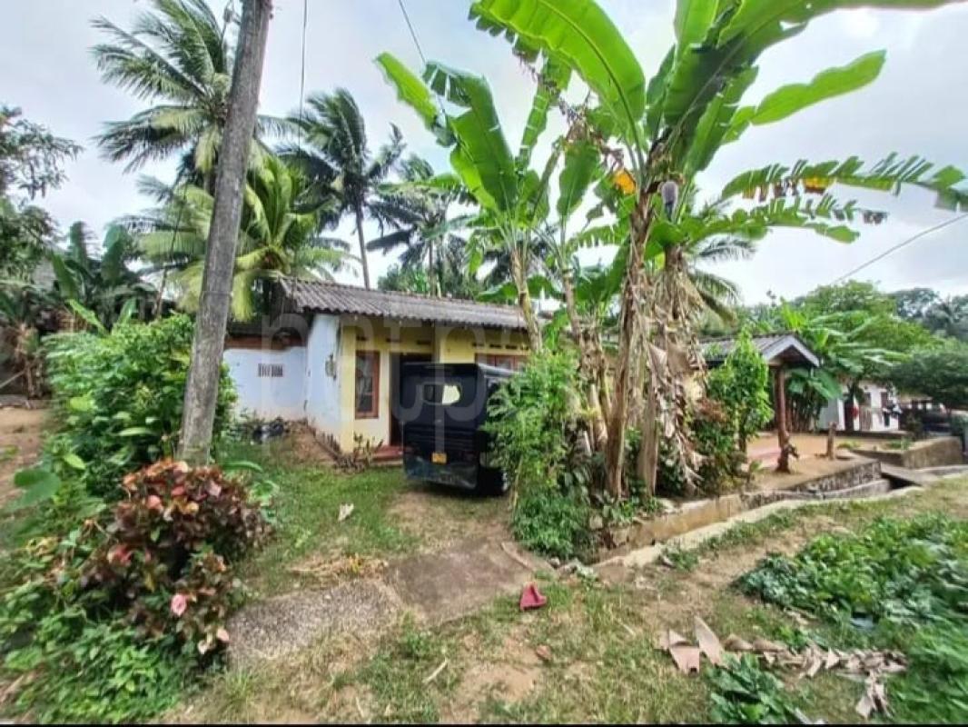 House for Sale in Dompe
