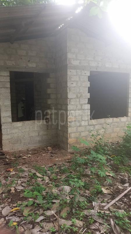 Agricultural Land for Sale in Weeraketiya