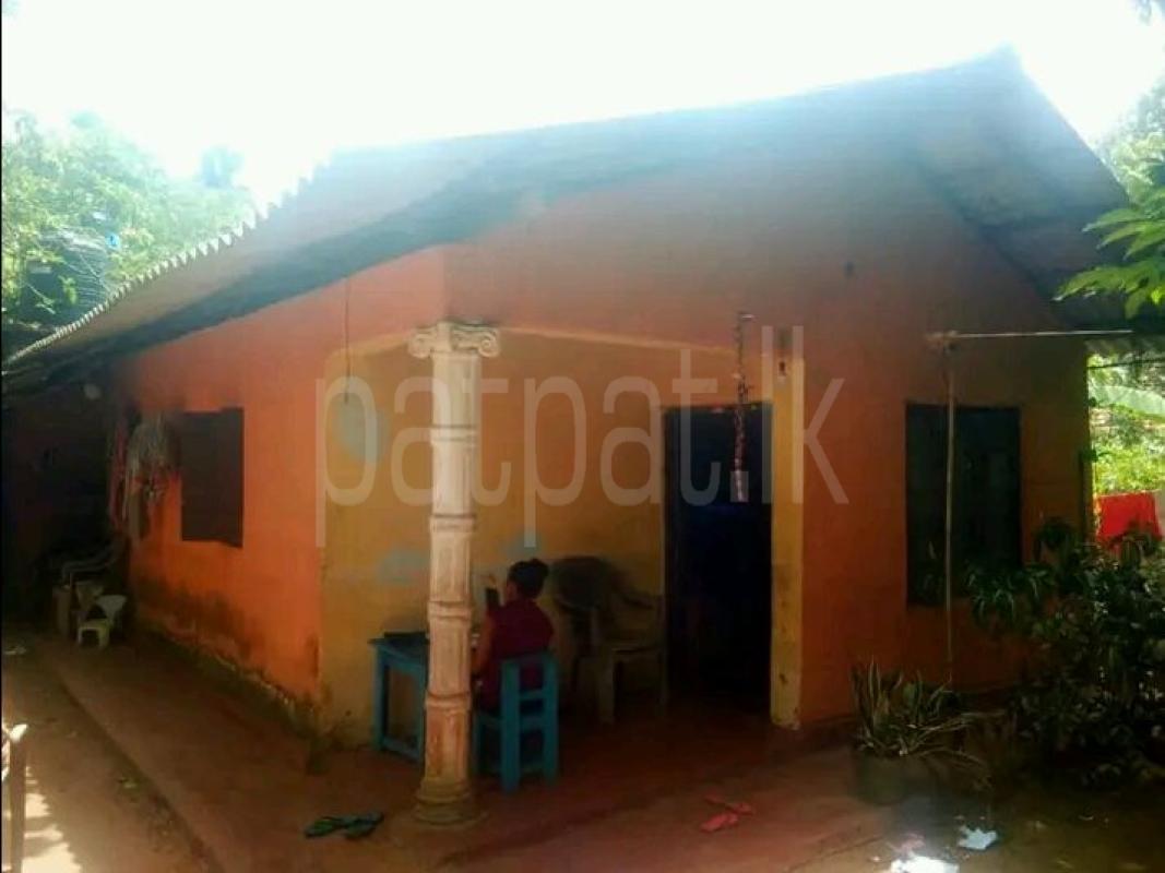 House for Sale in Minuwangoda ads-image-1