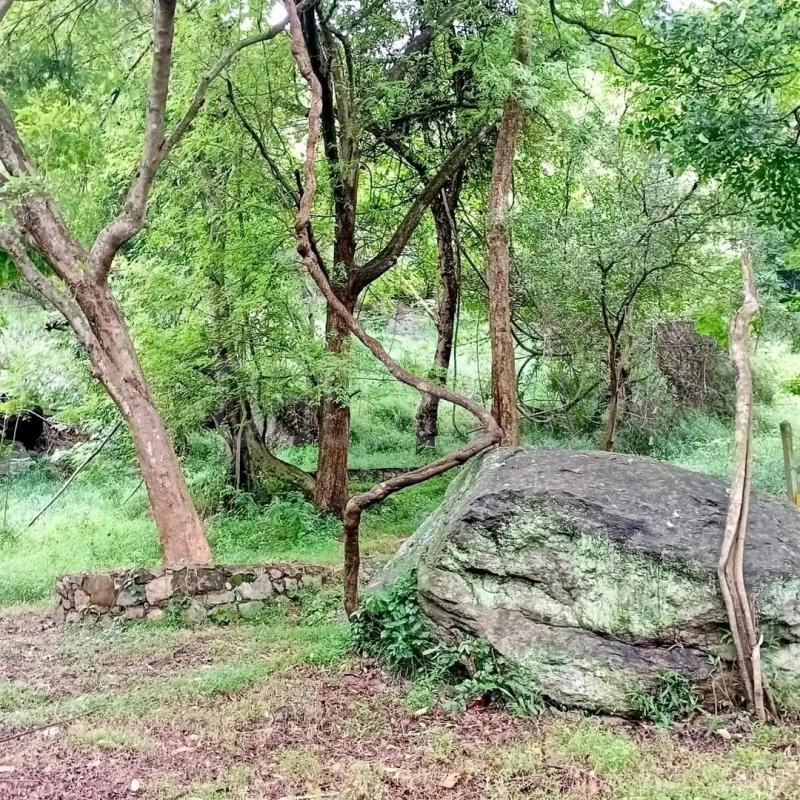 Agricultural Land for Sale in Pothuhera