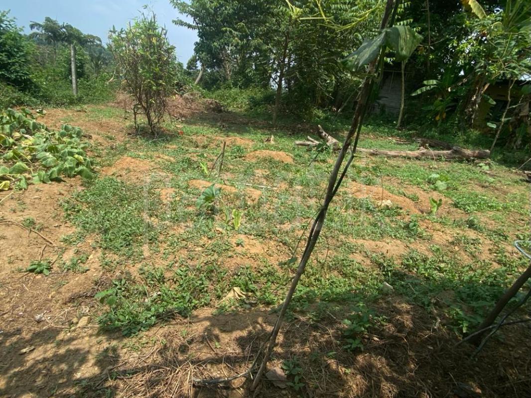 Residential Land for Sale in Gonapola Junction ads-image-1