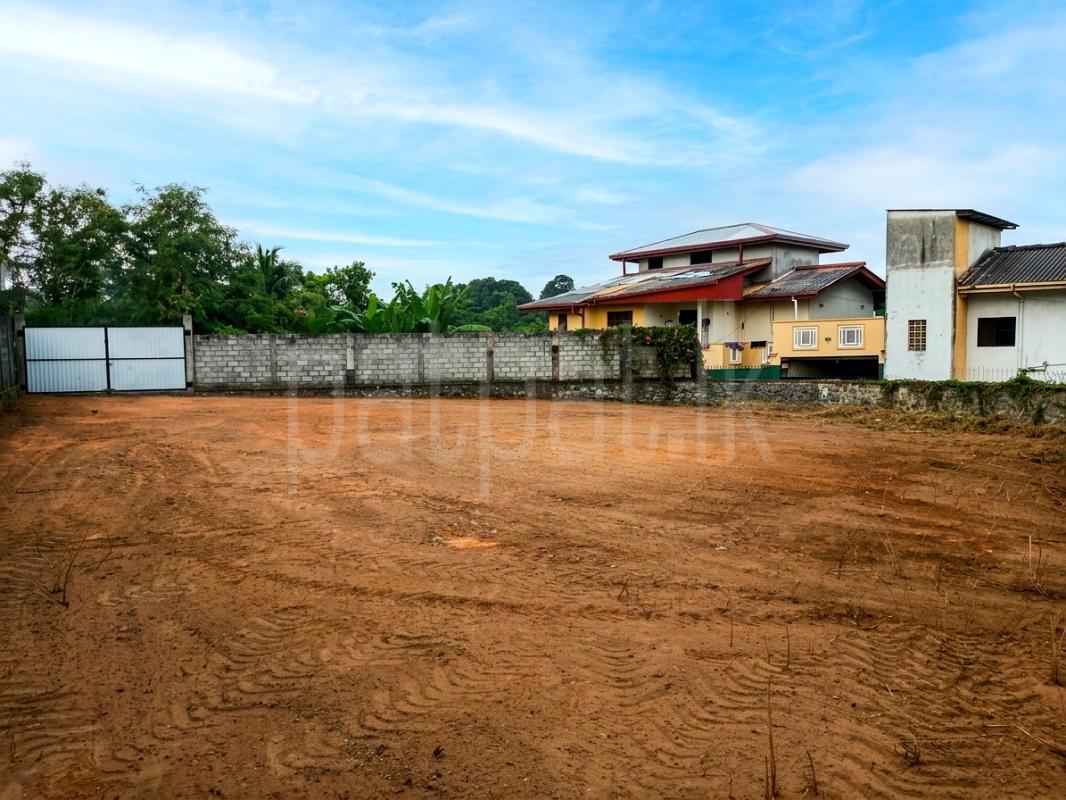 Residential Land for Sale in Kotte