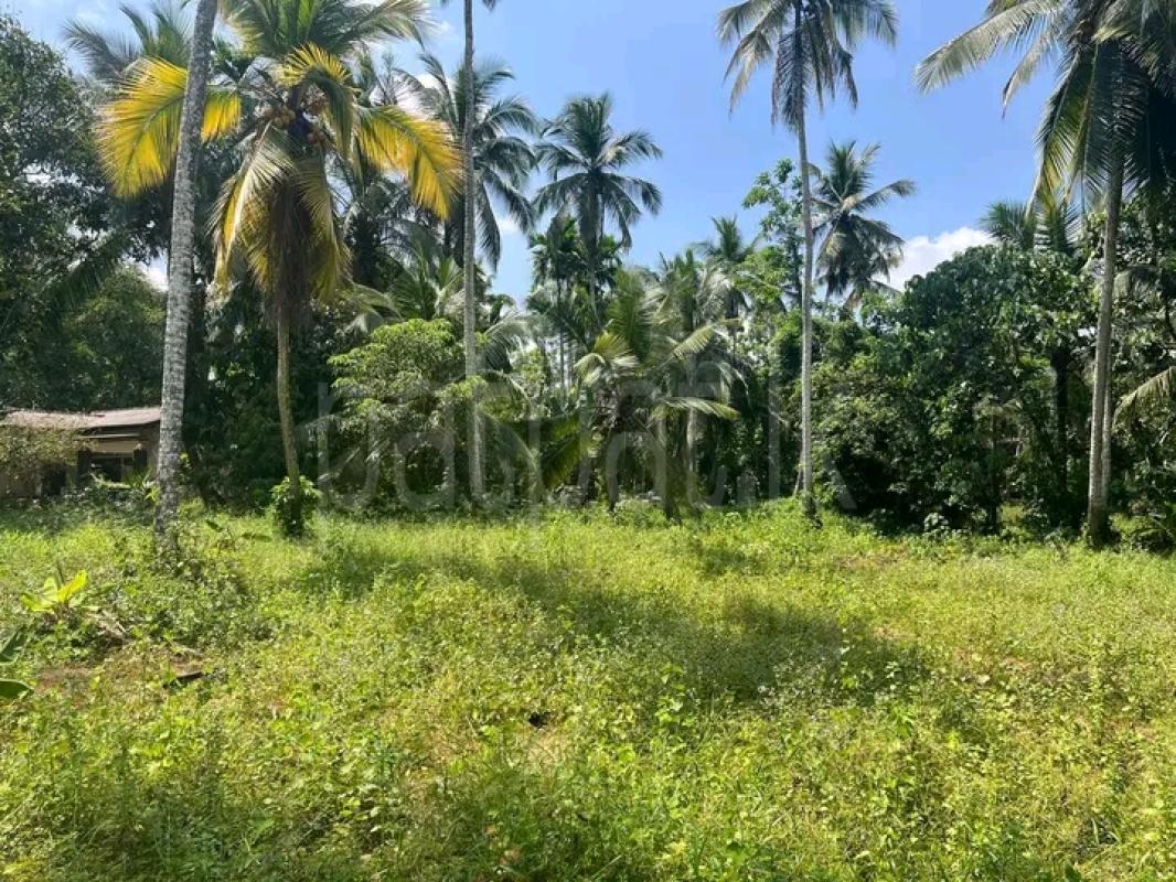 Residential Land for Sale in Dompe ads-image-1